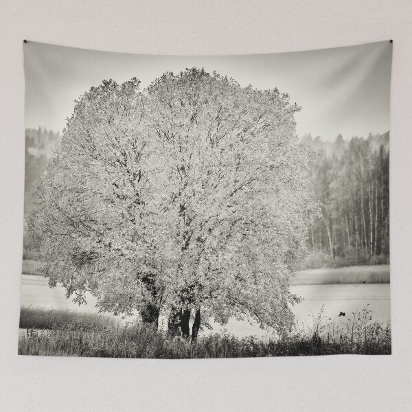 Item preview, A tree for the birds bw designed and sold by Jouko Lehto Photography.