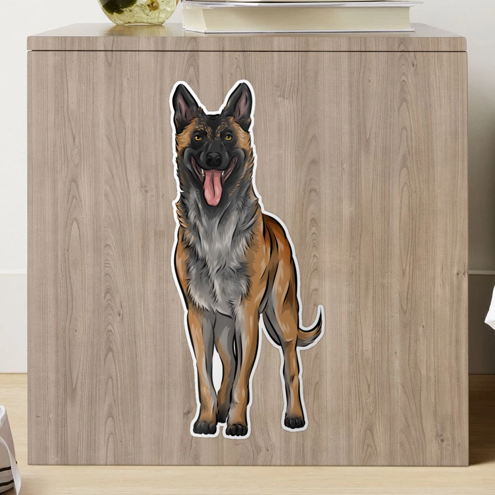 Belgian Malinois | Cute Belgian Shepherd Dog