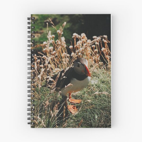 Item preview, Lone Puffin on Staffa Island  designed and sold by Emilia Oxelheim.