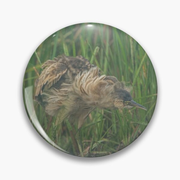 Item preview, American Bittern designed and sold by Michael Cummings.