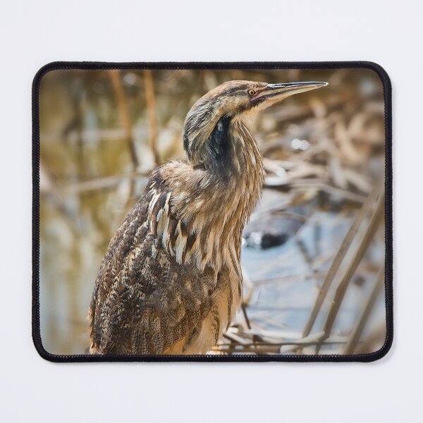 Item preview, American Bittern designed and sold by Michael Cummings.