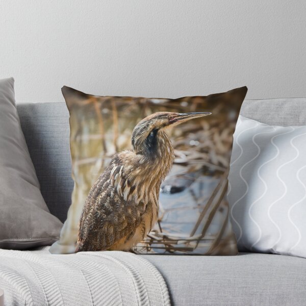 Item preview, American Bittern designed and sold by Michael Cummings.