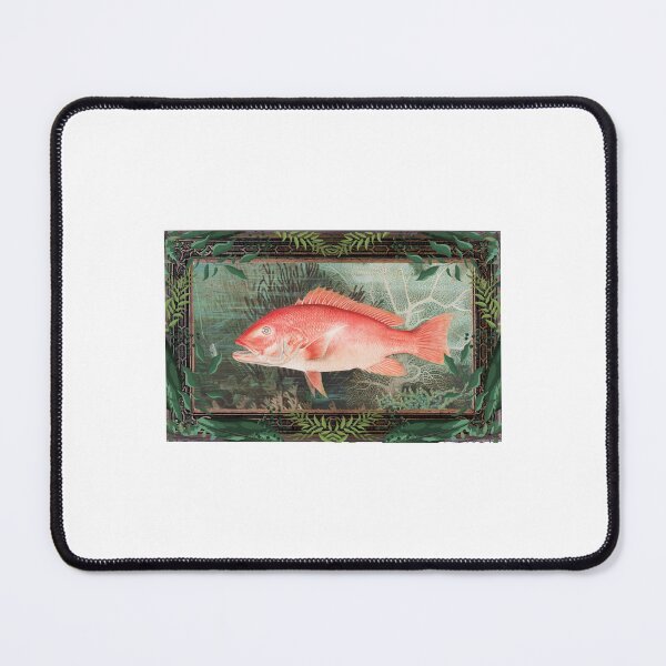 Item preview, Zoological board Northern red snapper - Zoological conceptions and zoology boards designed and sold by AdvanceDesign.