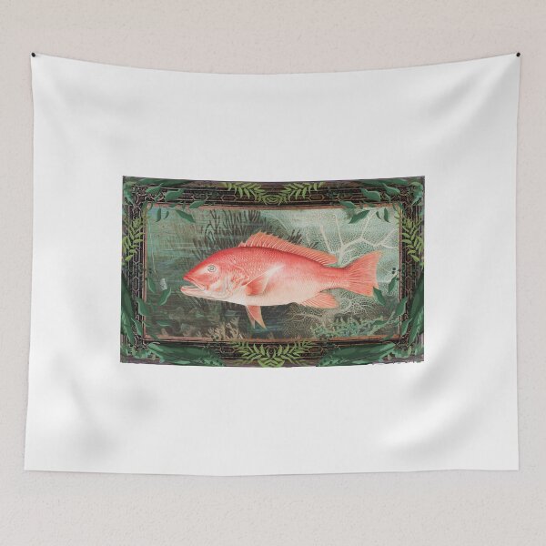 Item preview, Zoological board Northern red snapper - Zoological conceptions and zoology boards designed and sold by AdvanceDesign.