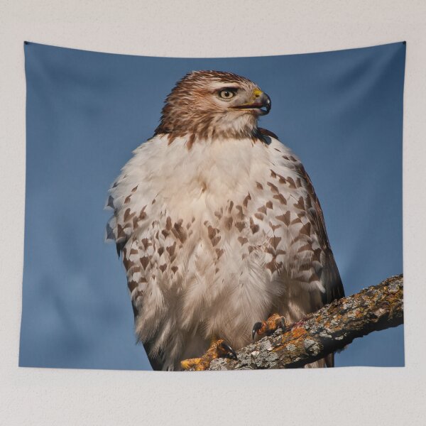 Item preview, Red-Tailed Hawk designed and sold by Michael Cummings.