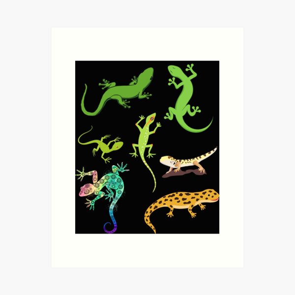 Gecko Art Prints for Sale | Redbubble