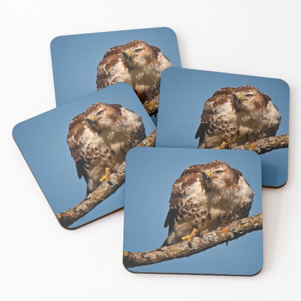 Item preview, Red-Tailed Hawk designed and sold by Michael Cummings.