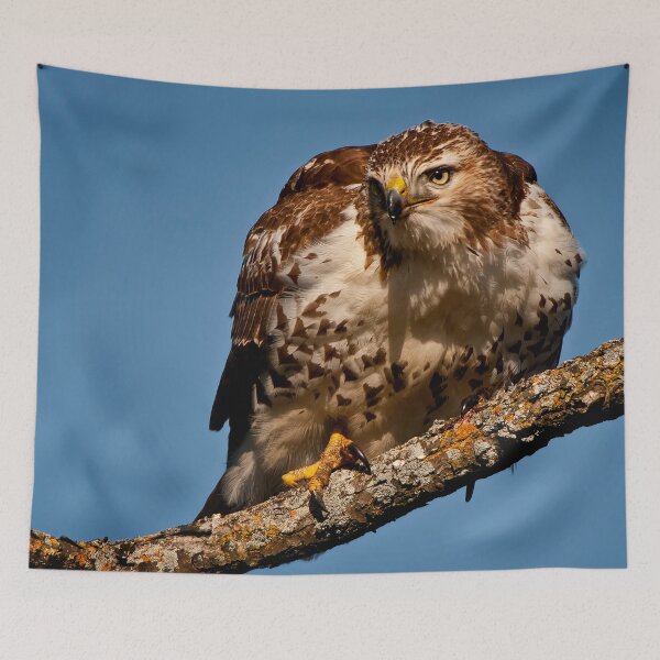 Item preview, Red-Tailed Hawk designed and sold by Michael Cummings.