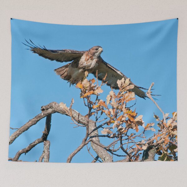 Item preview, Red-Tailed Hawk designed and sold by Michael Cummings.