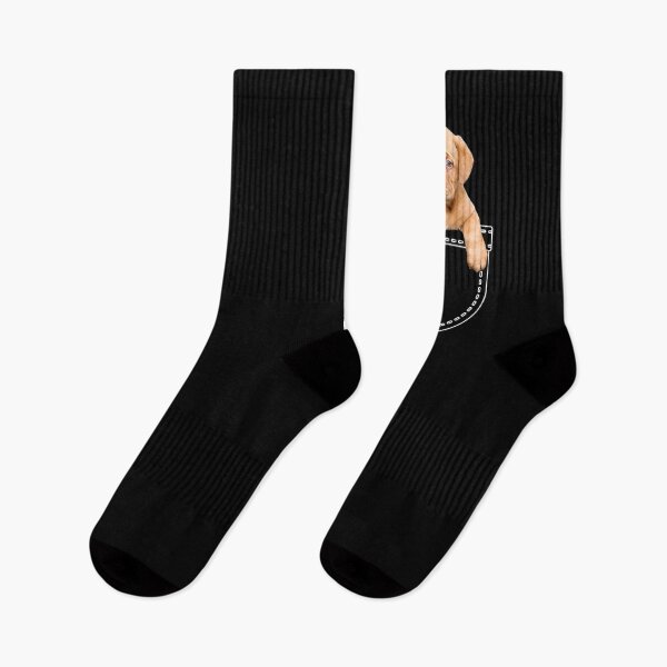 Item preview, Puppy in a pocket. French mastiff puppy in a pocket. Funny, cute photo and line drawing pocket designed and sold by JellyBeenzz.