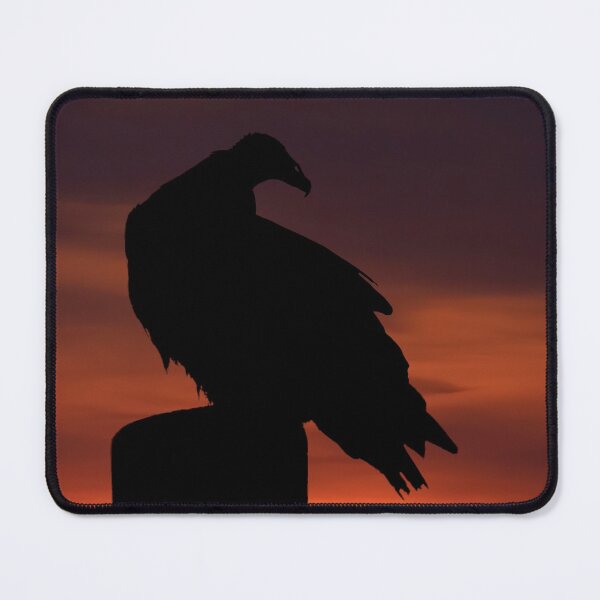 Item preview, Turkey Vulture at Sunset designed and sold by James Cumming.