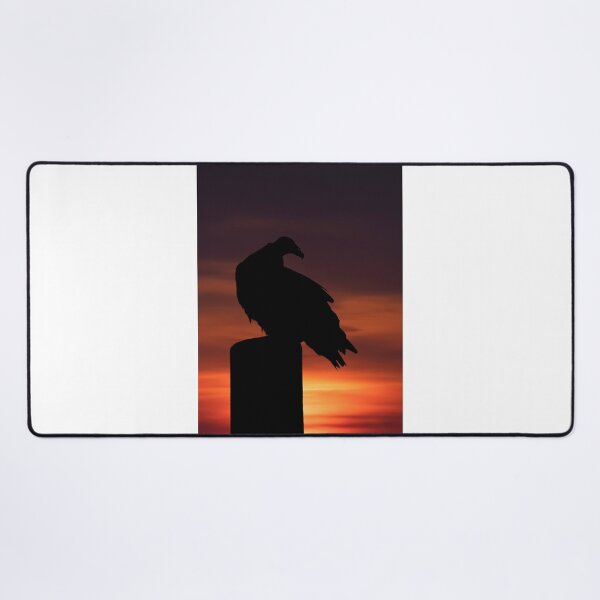 Item preview, Turkey Vulture at Sunset designed and sold by James Cumming.
