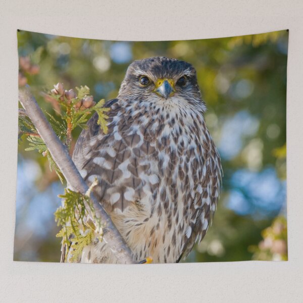 Item preview, Merlin Falcon designed and sold by Michael Cummings.