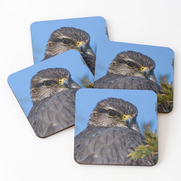 Item preview, Merlin Falcon designed and sold by Michael Cummings.