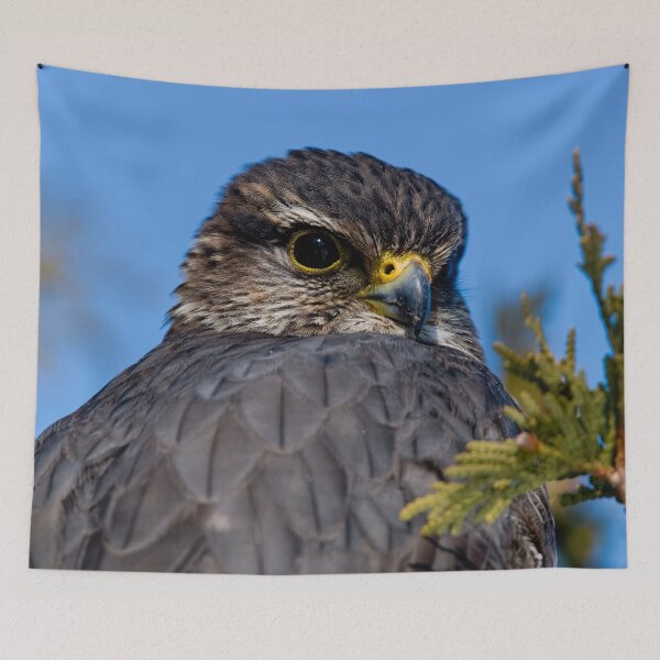 Item preview, Merlin Falcon designed and sold by Michael Cummings.