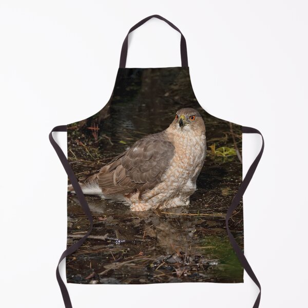 Item preview, Coopers Hawk designed and sold by Michael Cummings.