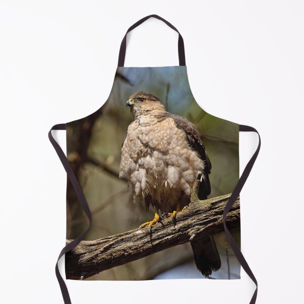 Item preview, Coopers Hawk designed and sold by Michael Cummings.