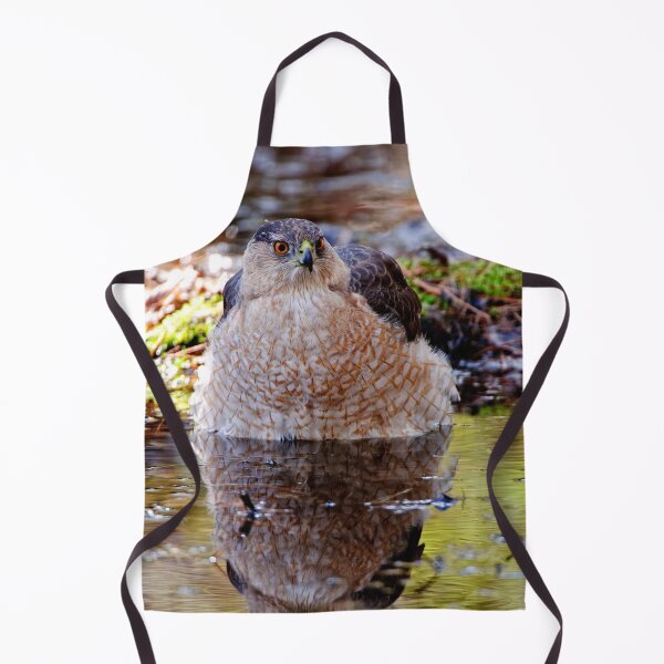 Item preview, Coopers Hawk designed and sold by Michael Cummings.