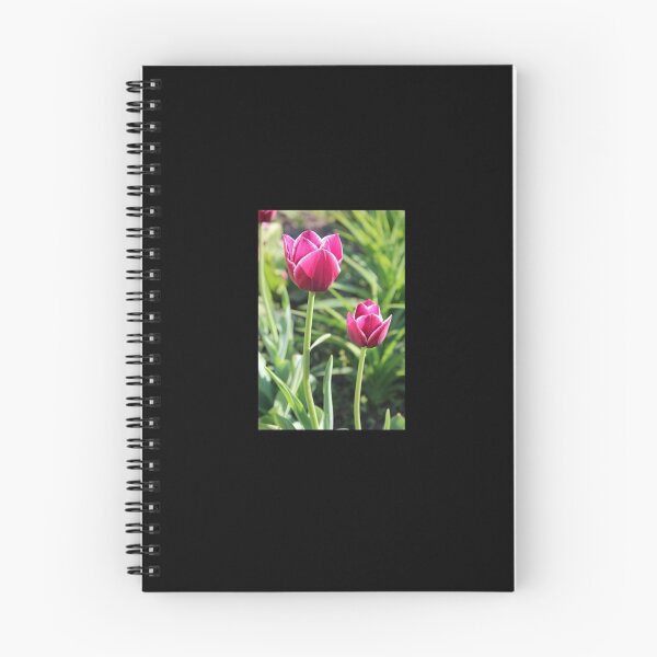 Item preview, Spring tulips designed and sold by GoolPictures.