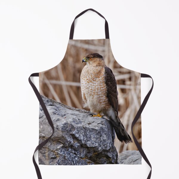 Item preview, Coopers Hawk designed and sold by Michael Cummings.