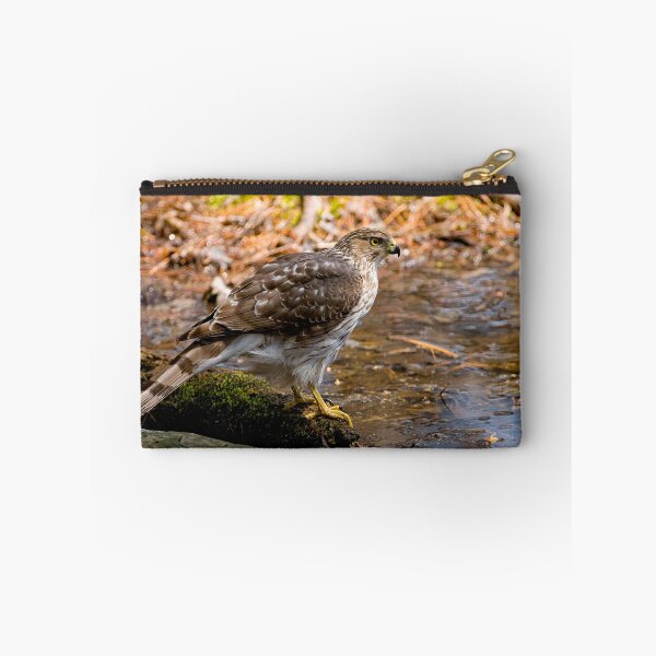 Item preview, Coopers Hawk designed and sold by Michael Cummings.