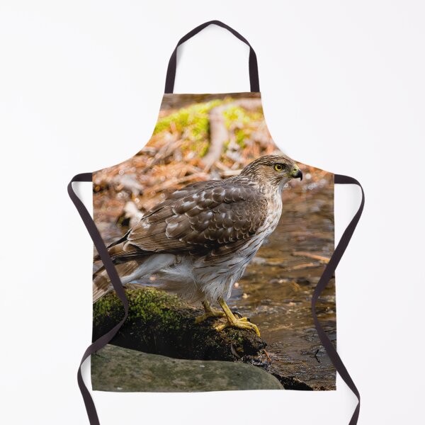 Item preview, Coopers Hawk designed and sold by Michael Cummings.