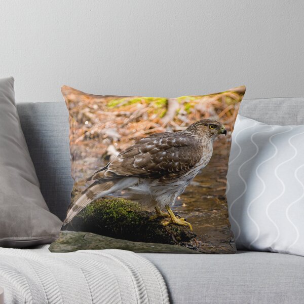 Item preview, Coopers Hawk designed and sold by Michael Cummings.