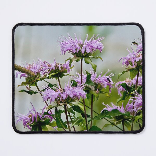 Item preview, Wild Bergamot designed and sold by Michael Cummings.