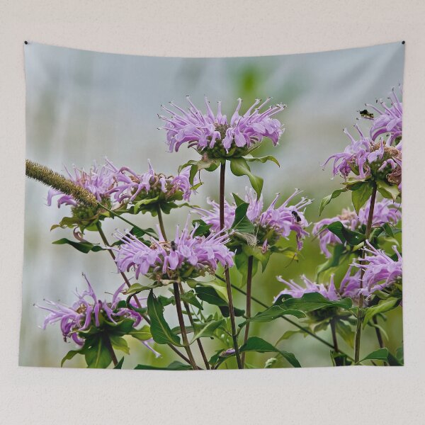 Item preview, Wild Bergamot designed and sold by Michael Cummings.