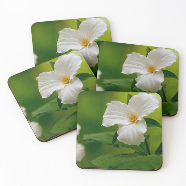 Item preview, White Trillium designed and sold by Michael Cummings.