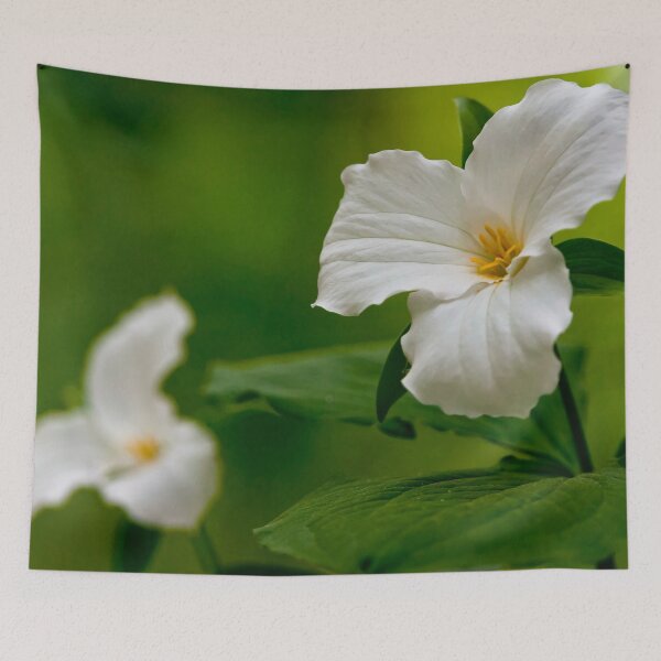 Item preview, White Trillium designed and sold by Michael Cummings.
