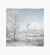 Glen Shiel Misty Winter Trees 2 Scarf