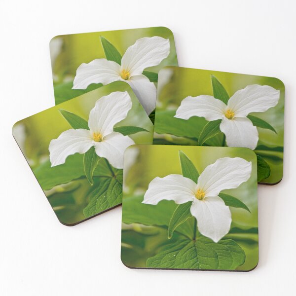 Item preview, White Trilliums designed and sold by Michael Cummings.