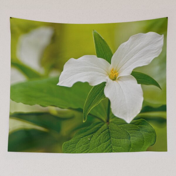 Item preview, White Trilliums designed and sold by Michael Cummings.