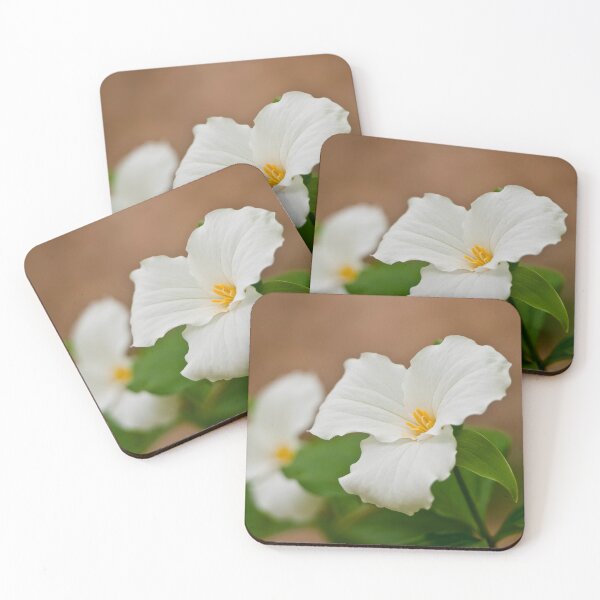 Item preview, White Trilliums designed and sold by Michael Cummings.