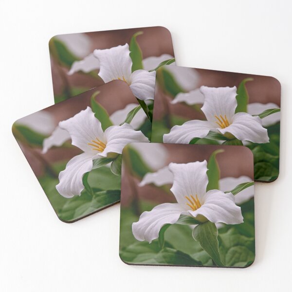 Item preview, White Trillium designed and sold by Michael Cummings.