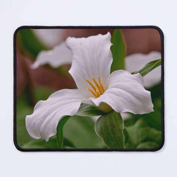 Item preview, White Trillium designed and sold by Michael Cummings.