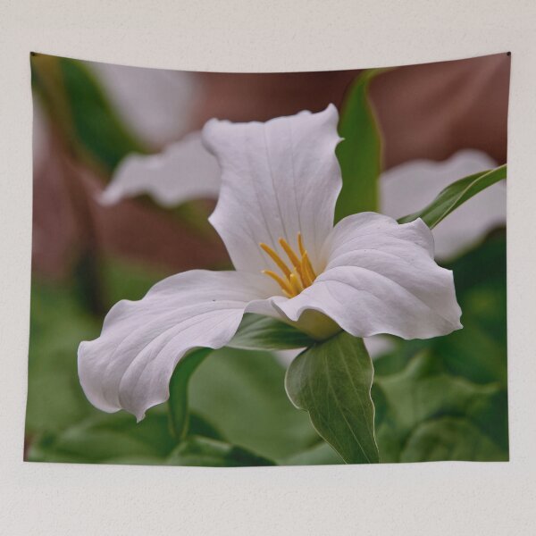 Item preview, White Trillium designed and sold by Michael Cummings.