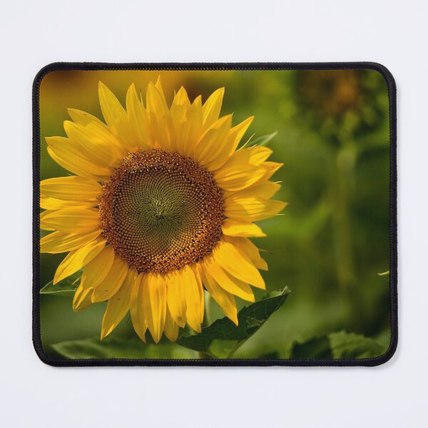 Item preview, Sunflower designed and sold by Michael Cummings.