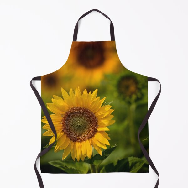Item preview, Sunflower designed and sold by Michael Cummings.