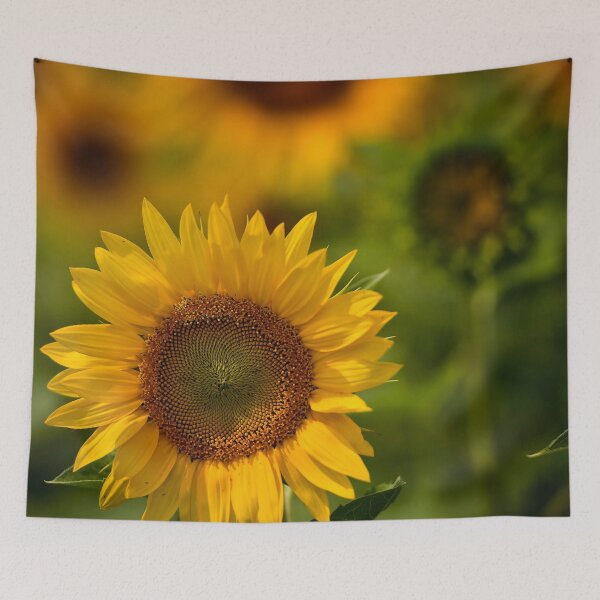 Item preview, Sunflower designed and sold by Michael Cummings.