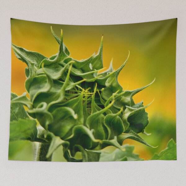 Item preview, Sunflower designed and sold by Michael Cummings.