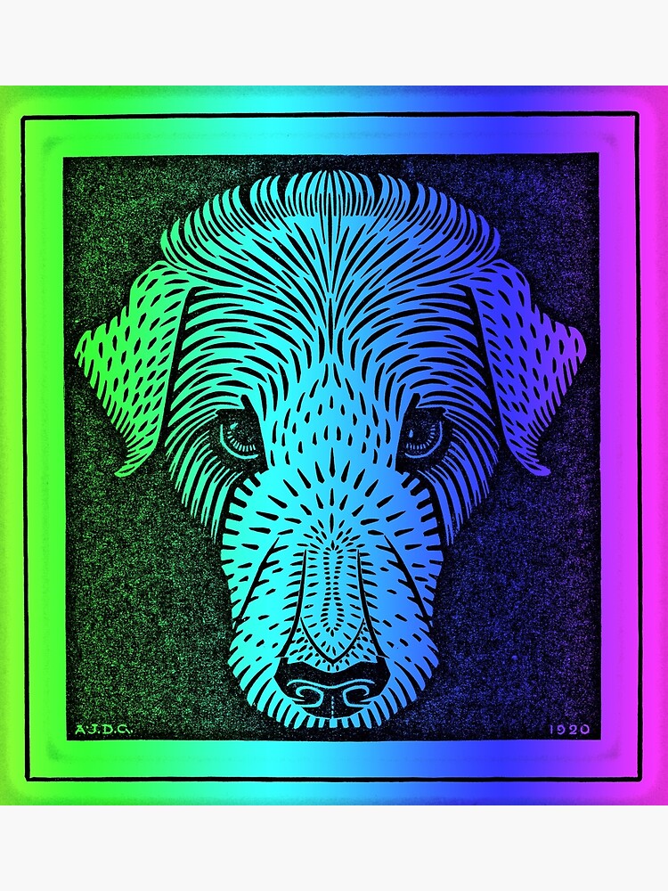 Colorful Artistic Dog Face Poster By Creatorstuff Redbubble colorful-artistic-dog-face-poster-by-creatorstuff-redbubble
