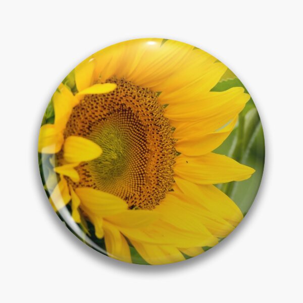 Item preview, Sunflower designed and sold by Michael Cummings.