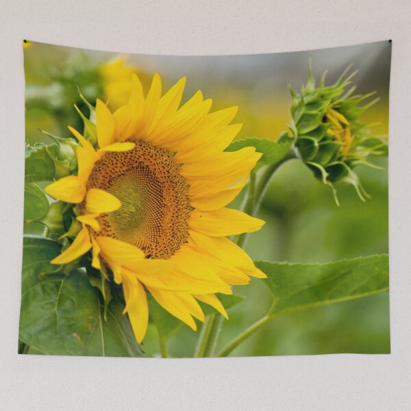 Item preview, Sunflower designed and sold by Michael Cummings.