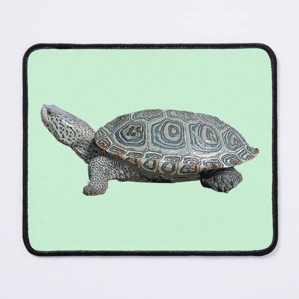 Item preview, Diamondback Terrapin Color Print  designed and sold by designsasstultd.