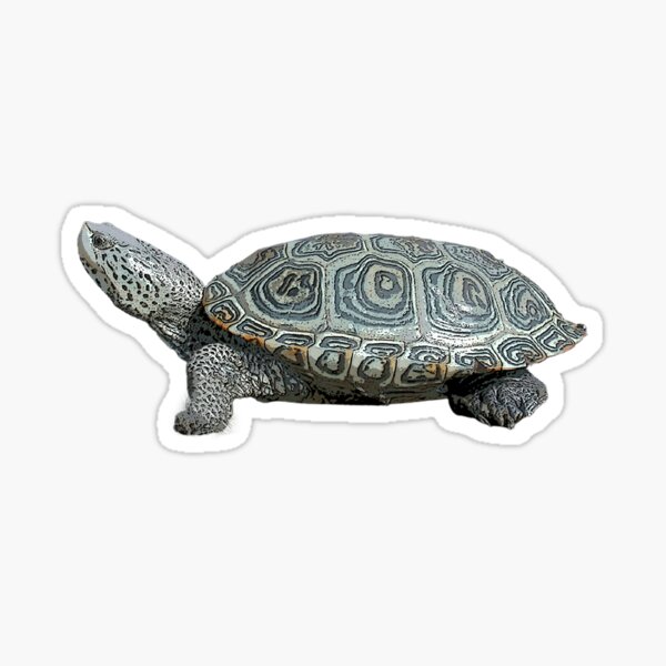 Item preview, Diamondback Terrapin Color Print  designed and sold by designsasstultd.