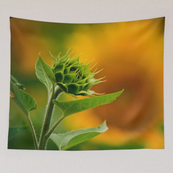 Item preview, Sunflower designed and sold by Michael Cummings.