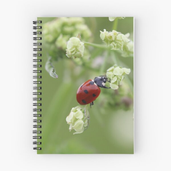 Item preview, Ladybug designed and sold by MvMeer.