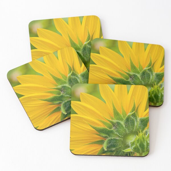 Item preview, Sunflower designed and sold by Michael Cummings.
